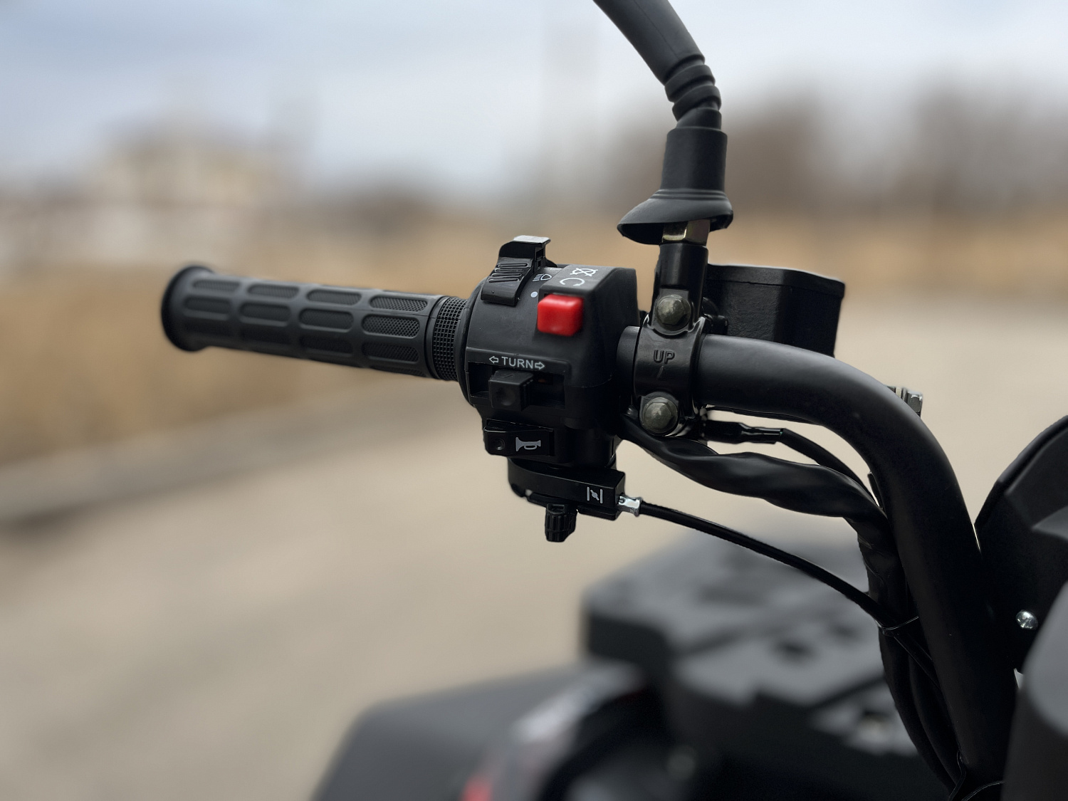 Квадроцикл PROMAX TAURUS 300 MAX-PRO LONG в Щёлкове