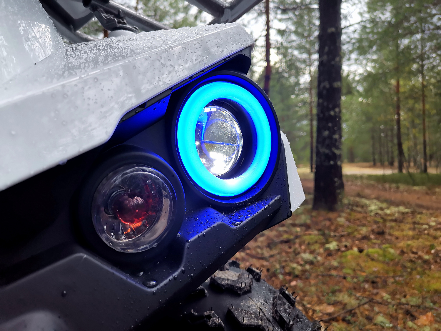 Квадроцикл PROMAX RENEGADE 280 (2025) в Щёлкове