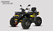 Квадроцикл PROMAX TAURUS 300 MAX-PRO LONG в Щёлкове